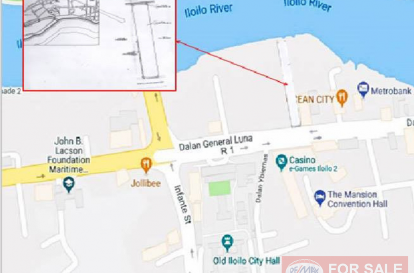 4,406 sqm. Commercial Lot Along Main Road in Iloilo City for Sale