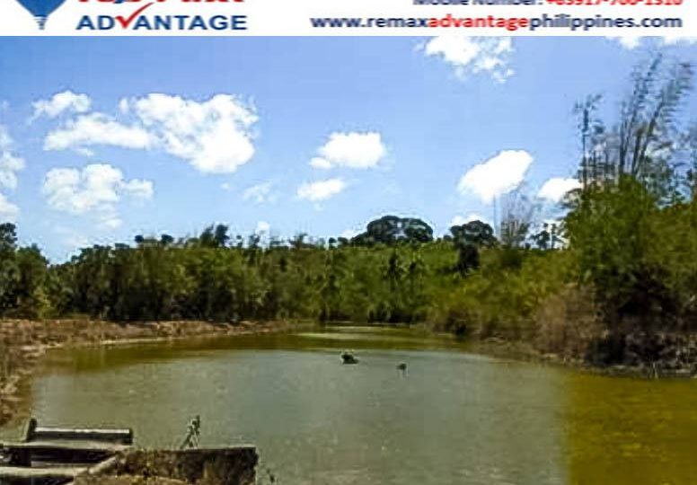 In guimaras 10 - Hectare agriculturalland for sale
