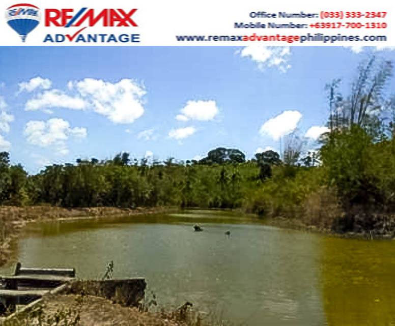 In guimaras 10 - Hectare agriculturalland for sale