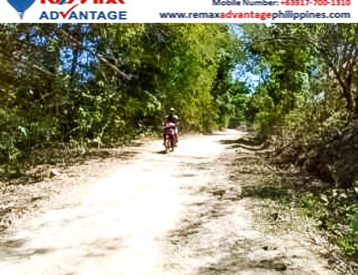 10 - Hectare agriculturalland for sale in guimaras