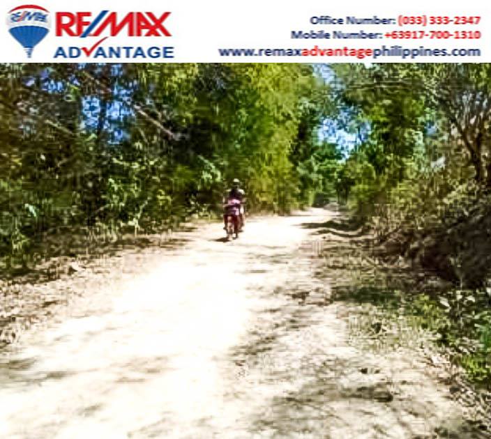 10 - Hectare agriculturalland for sale in guimaras