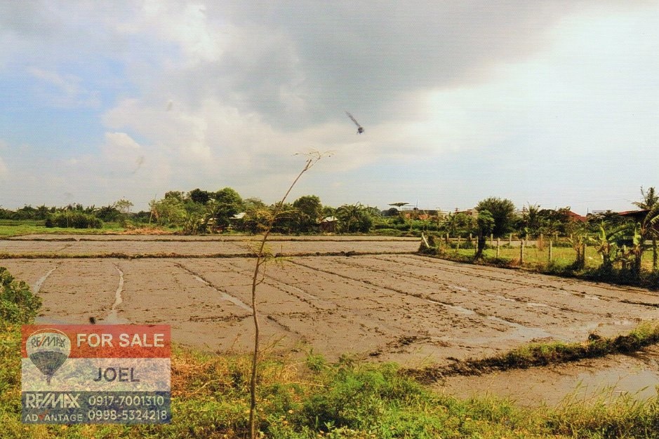 In Oton Circumferential Road property for Sale