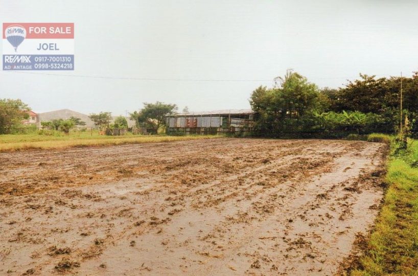 for Sale Circumferential Road property in Oton