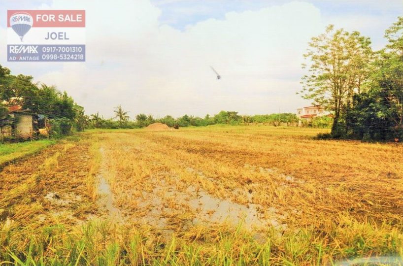 Circumferential Road property for Sale in Oton