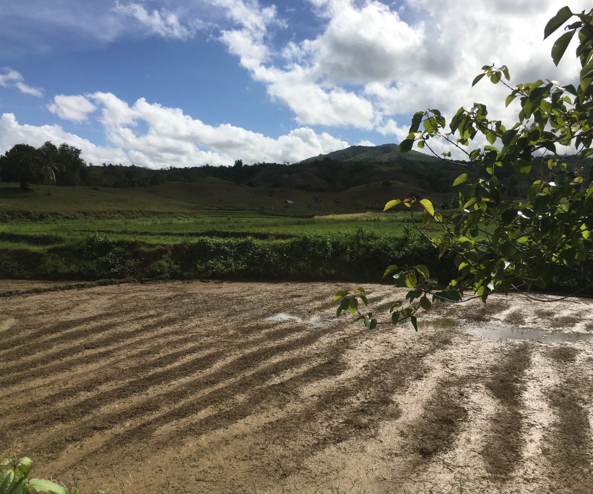 Prime Agricultural Land in Lemery Iloilo Highway For Sale | RE/MAX Advantage