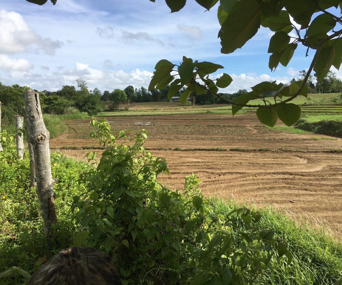 Prime Agricultural Land in Lemery Iloilo Highway For Sale | RE/MAX Advantage